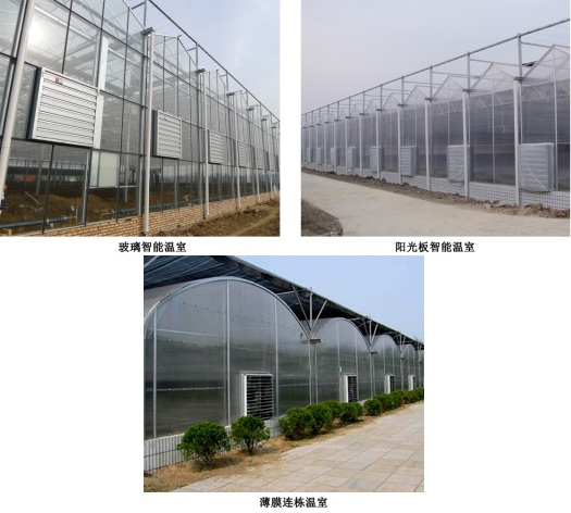 玻璃智能溫室、陽(yáng)光板智能溫室、薄膜連棟溫室