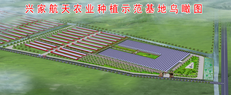 天津興家航天農業(yè)園（陽光板智能連棟溫室）